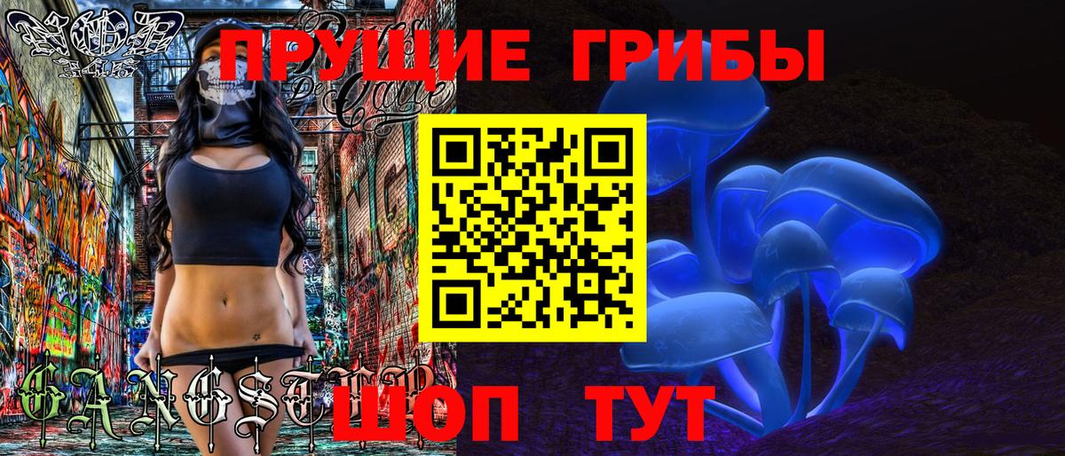 Юрга  Галлюциногенные грибы Cubensis  Вход с VPN  купить наркоту  Псилоцибиновые грибы ЛСД 